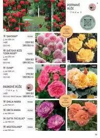 Starkl katalog Strana 21