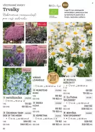 Starkl katalog Strana 22