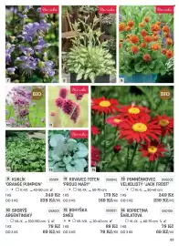 Starkl katalog Strana 23