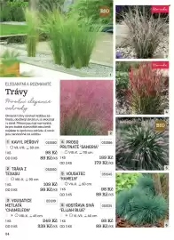 Starkl katalog Strana 24