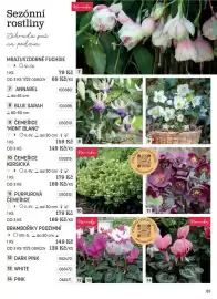 Starkl katalog Strana 25