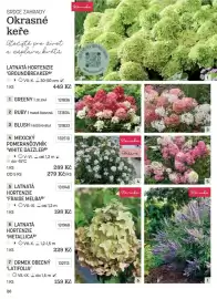Starkl katalog Strana 26