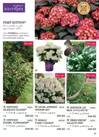 Starkl katalog Strana 27