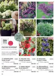 Starkl katalog Strana 28