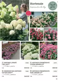 Starkl katalog Strana 29