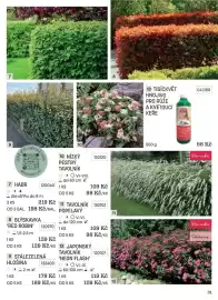 Starkl katalog Strana 31