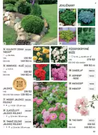 Starkl katalog Strana 33