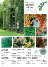 Starkl katalog Strana 34