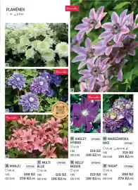 Starkl katalog Strana 35