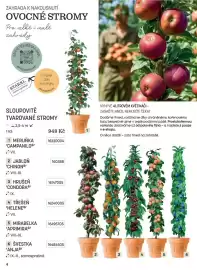 Starkl katalog Strana 4