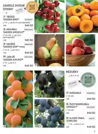 Starkl katalog Strana 5