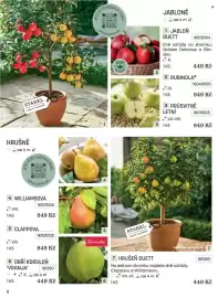 Starkl katalog Strana 6