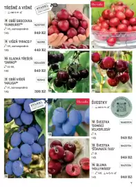 Starkl katalog Strana 7