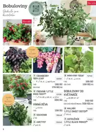 Starkl katalog Strana 8