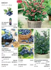 Starkl katalog Strana 9