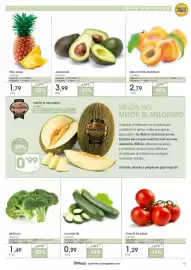 Folleto Supermercados Plaza Página 15: Origen - melón €0,99, Origen - calabacín €0,99
