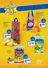Folleto Supermercados Plaza Página 3: Origen - bolsa de patatas €3,99, Valencia - bolsa de naranjas de zumo €5,99