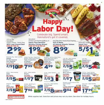 Hannaford (valid until 5-09)