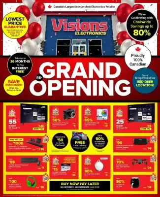 Visions Electronics flyer