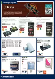 Blackwoods catalogue Page 28: Hand Foam Wash SCJ Professional €18,00, Hand Foam Dispenser SC Johnson €110,00
