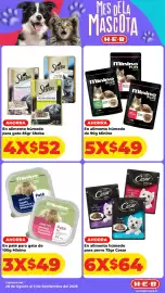 Folleto HEB Página 15: Minino Plus Recetas €245,00, Cesar Mini €384,00
