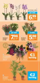 Albert Heijn folder week 36 Pagina 37