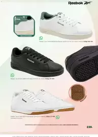 Catálogo SC Pakar Página 239