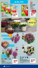 Aldi Süd Prospekt woche 38 Seite 21
