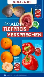 Aldi Süd Prospekt woche 38 Seite 3