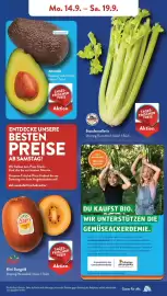 Aldi Süd Prospekt woche 38 Seite 4