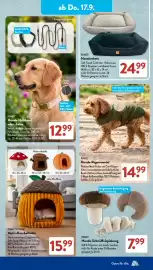 Aldi Süd Prospekt woche 38 Seite 9