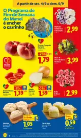 Folheto Lidl semana 36 Página 4: Ramo de Flores da Época Nacional €3,99, Molho de Crisântemos 4 Variedades €2,99