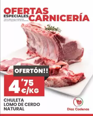 Díaz Cadenas (válido hasta el 29-08)