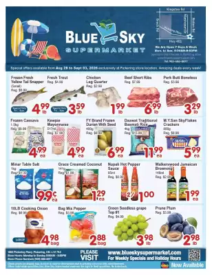 Blue Sky (valid until 3-09)