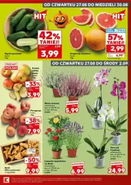 Kaufland gazetka Strona 7