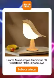 Temu gazetka Strona 13