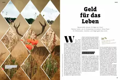 Biomarkt Magazin Seite 15