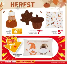Trafic folder Pagina 4: Sierkussen €5,99, Deco pompoenen €6,99
