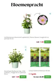 Intratuin folder week 36 Pagina 4: Zonnehoed €7,99, Compo bodemverbeteraar €10,99