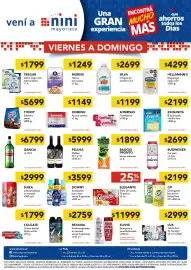 Catálogo Nini Mayorista Página 1: Exquisita bizcochuelo vainilla fort. €2.199,00