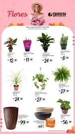 Encarte Giassi Supermercados semana 35 Página 2: Vaso Infinity Concha Nutriplan n°13 €79,90
