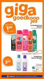 Trekpleister folder Pagina 21