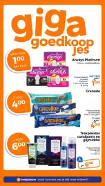 Trekpleister folder Pagina 23
