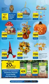 Tesco akciós újság hét 36 Oldal 29: Kerámiatök €1.999,00, Gomba dekoráció €1.499,00
