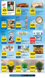 Tesco akciós újság hét 36 Oldal 5: Proxy görög joghurt €1.066,00, Frosta fagyasztott halfilé €1.799,00