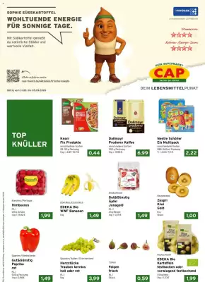 CAP Markt (gültig bis 5-09)