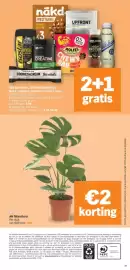 Albert Heijn folder week 36 Pagina 33: Barebells protein bar cookies & cream €5,98, AH Monstera €5,00