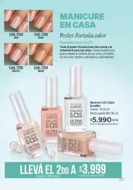 Catálogo Amodil Página 53