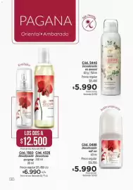 Catálogo Amodil Página 60