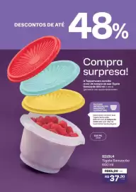 Catálogo Tupperware Página 41